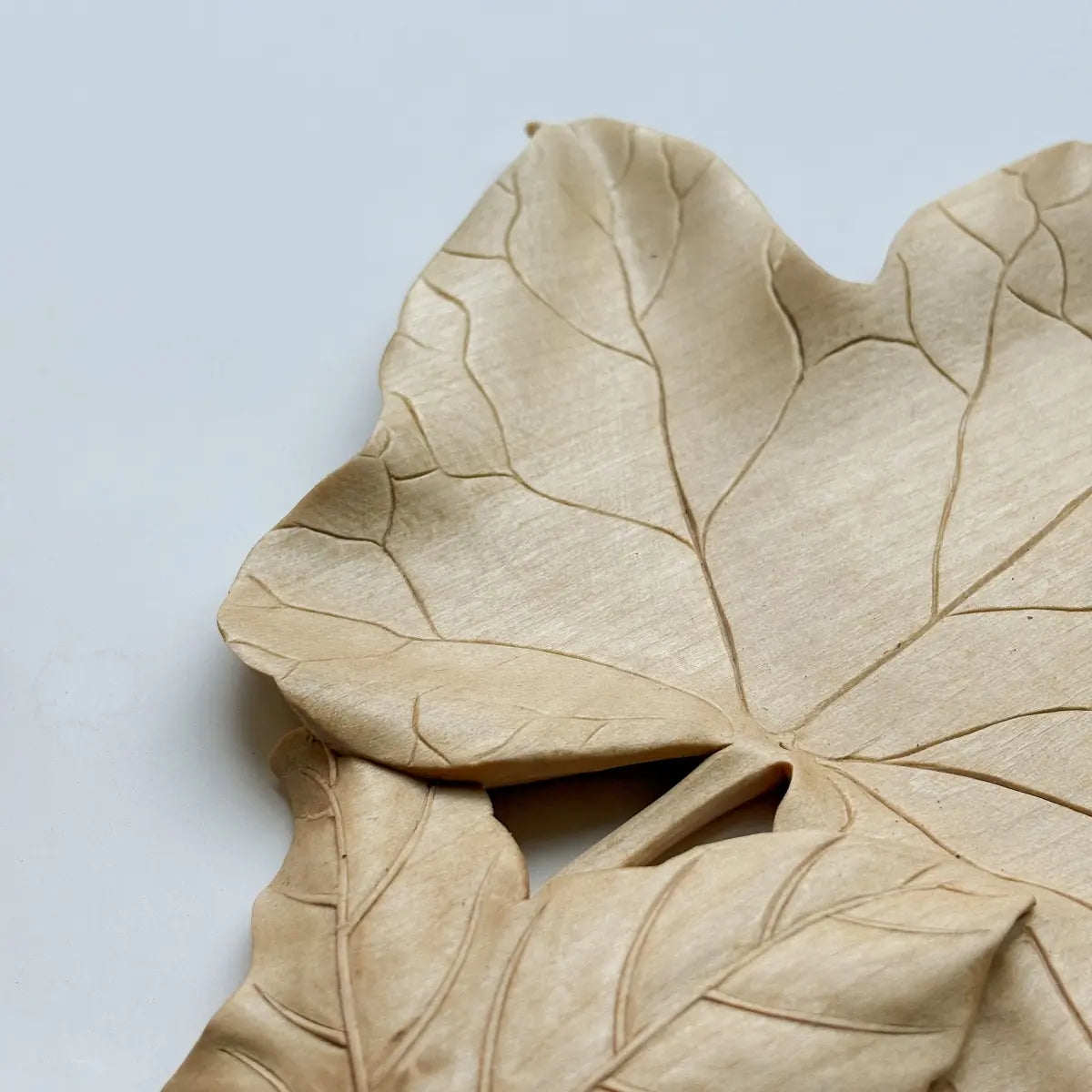 Hand-Carved Ivy Leaf Coaster