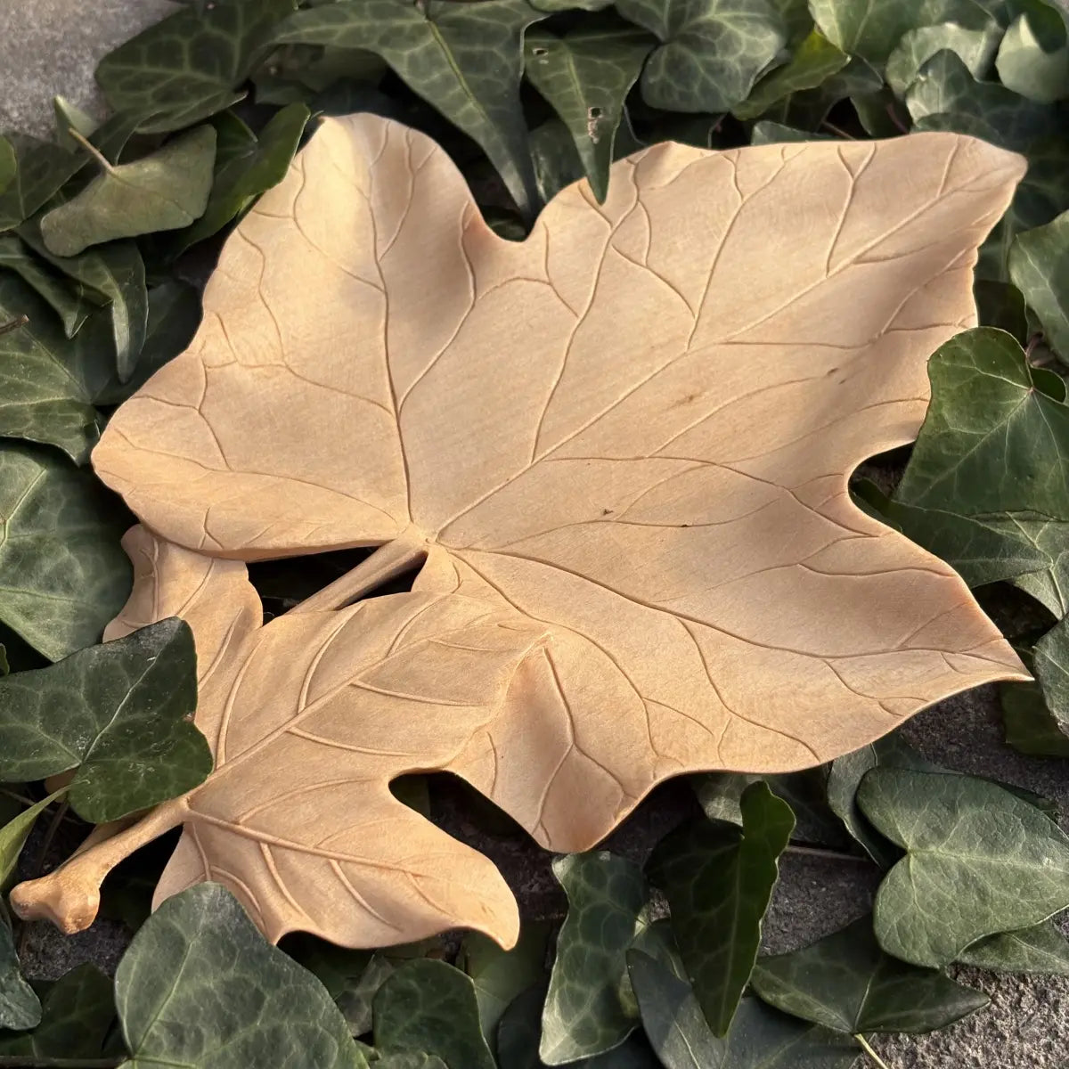Hand-Carved Ivy Leaf Coaster