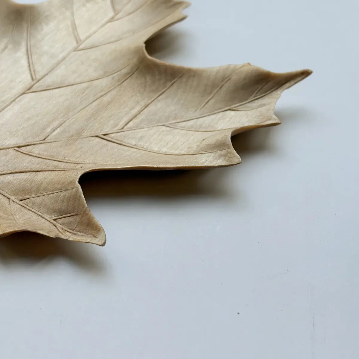 Hand-Carved Maple Leaf Coaster