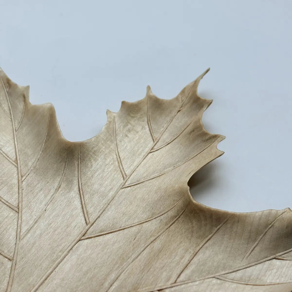 Hand-Carved Maple Leaf Coaster