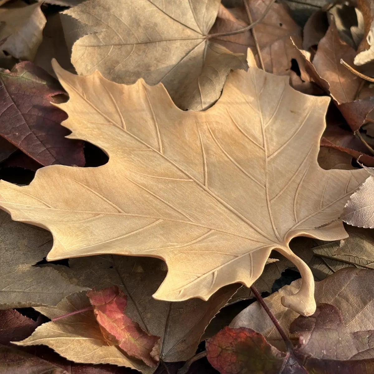 Hand-Carved Maple Leaf Coaster
